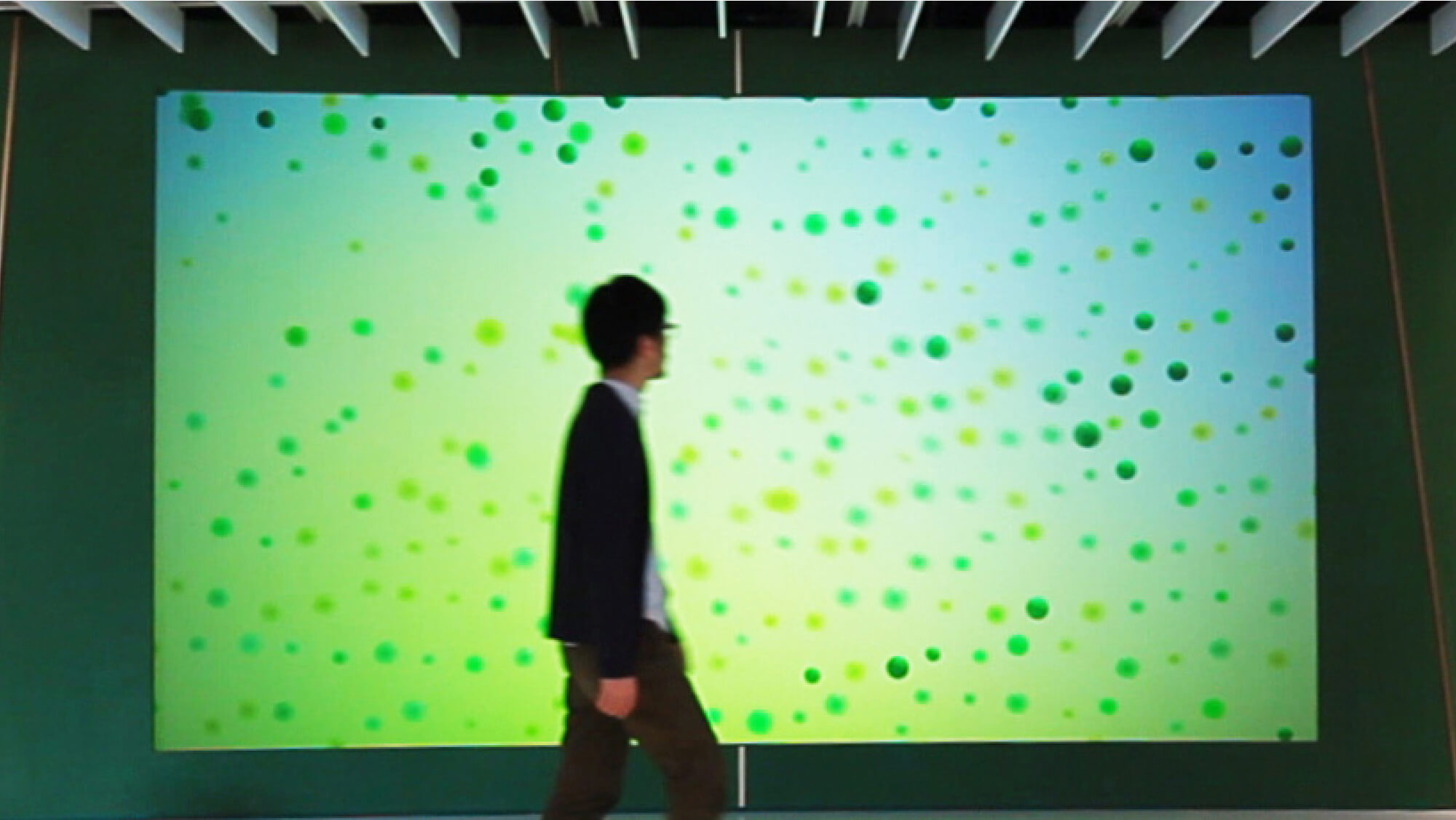 Seedの画像