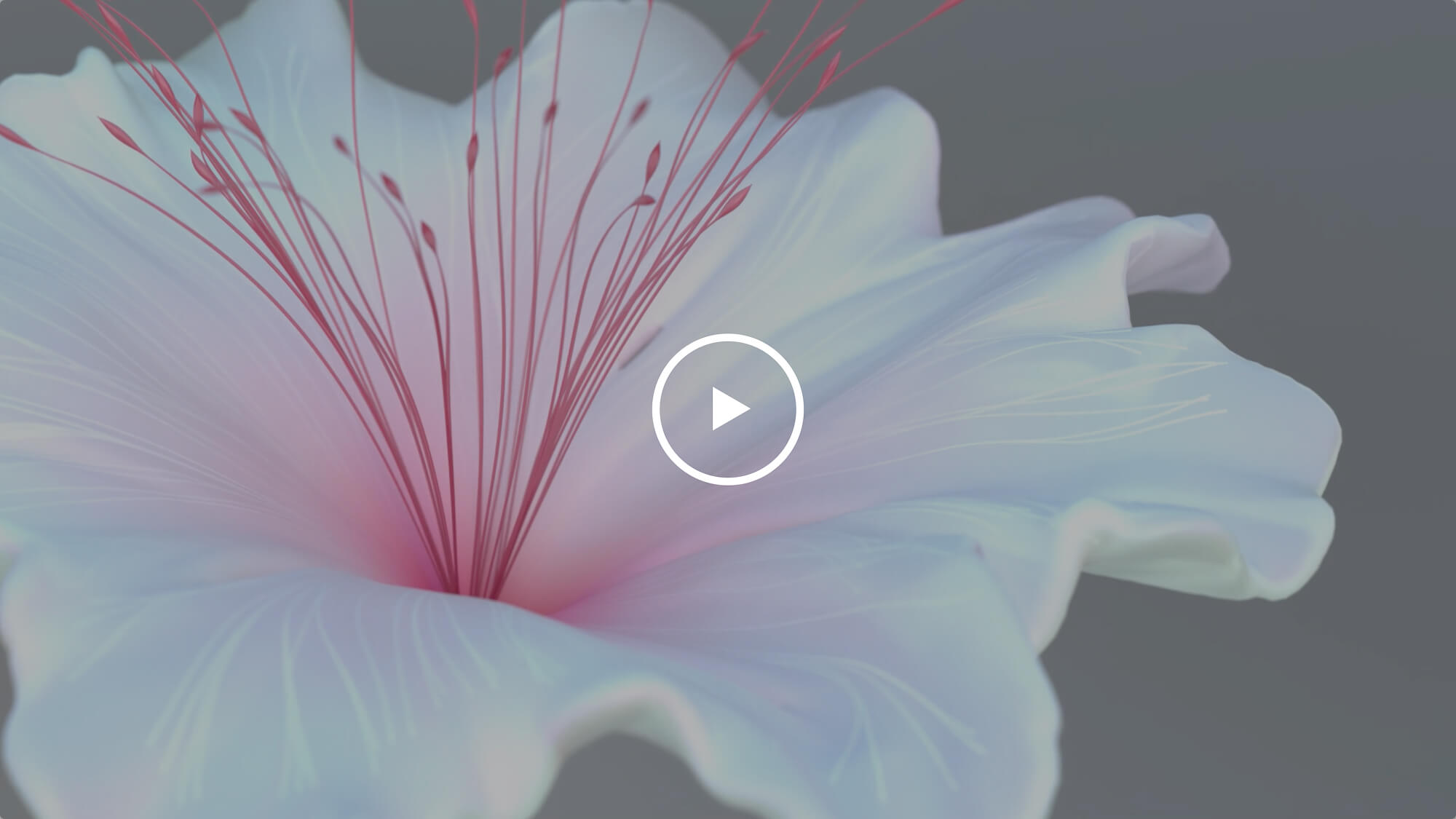 MISIA 「希望のうた」ミュージックビデオのムービー